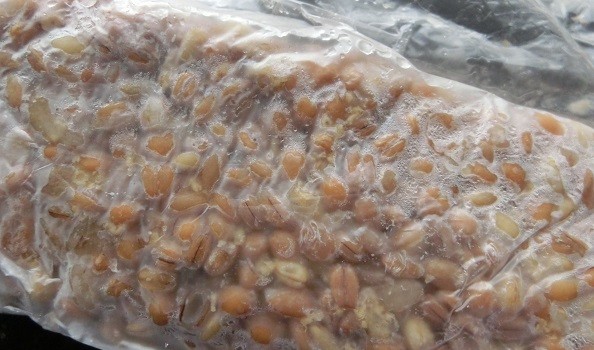 Los cereales horneados pueden congelarse varias semanas.